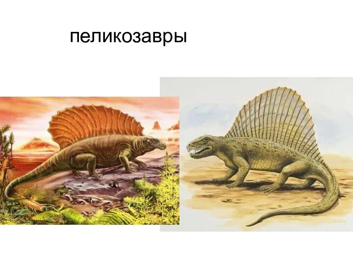 пеликозавры
