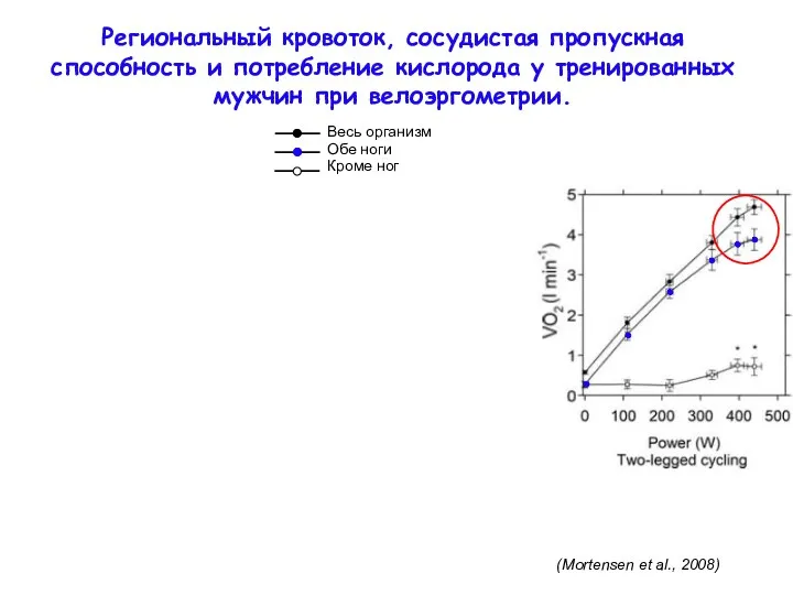 Региональный кровоток, сосудистая пропускная способность и потребление кислорода у тренированных