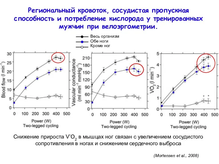 Региональный кровоток, сосудистая пропускная способность и потребление кислорода у тренированных