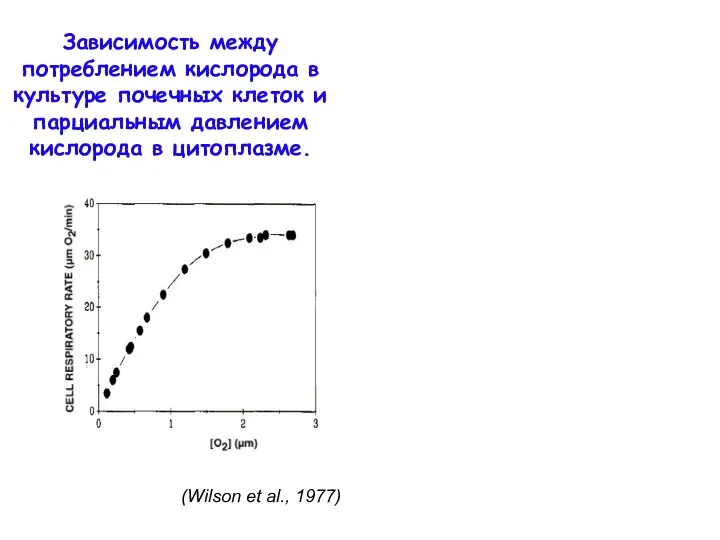 (Wilson et al., 1977) (Richardson et al., 1999) Зависимость между