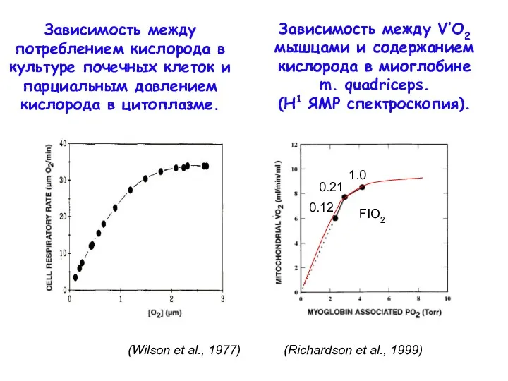 (Wilson et al., 1977) (Richardson et al., 1999) Зависимость между