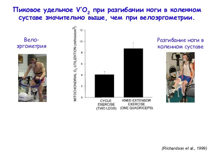 Пиковое удельное V’O2 при разгибании ноги в коленном суставе значительно