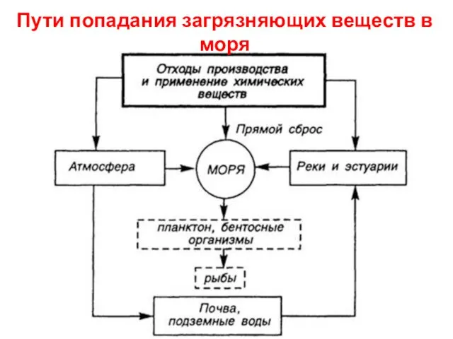 Пути попадания загрязняющих веществ в моря