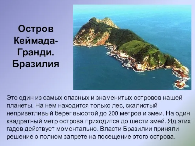 Остров Кеймада-Гранди. Бразилия Это один из самых опасных и знаменитых