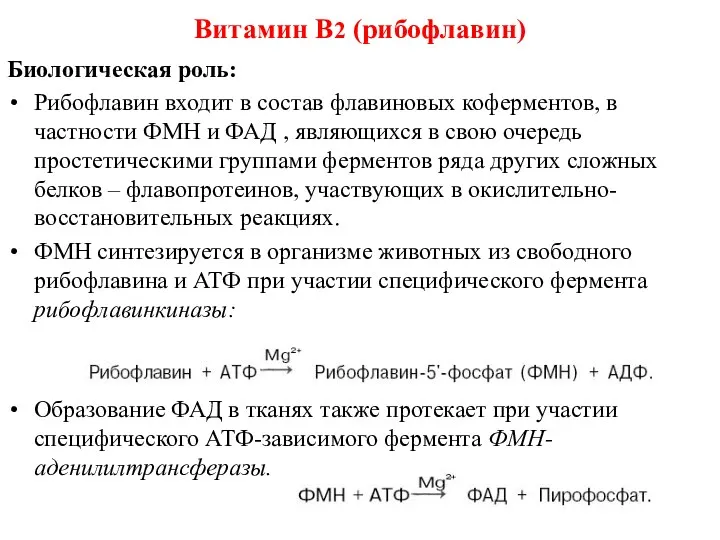 Биологическая роль: Рибофлавин входит в состав флавиновых коферментов, в частности