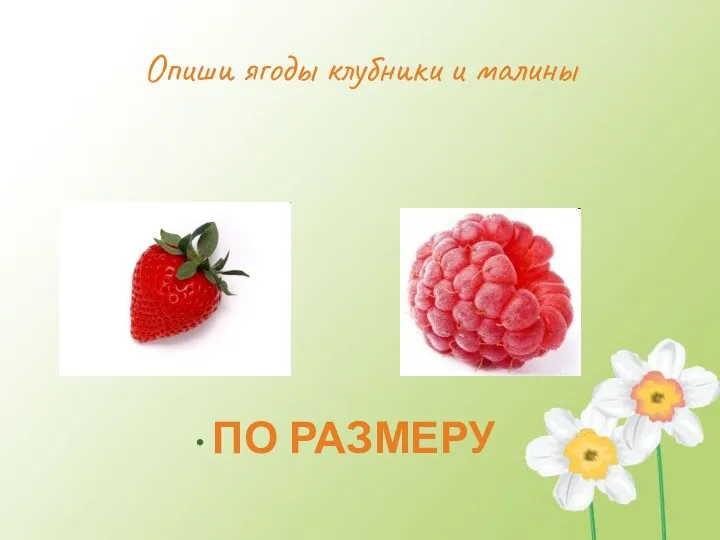 Опиши ягоды клубники и малины ПО РАЗМЕРУ