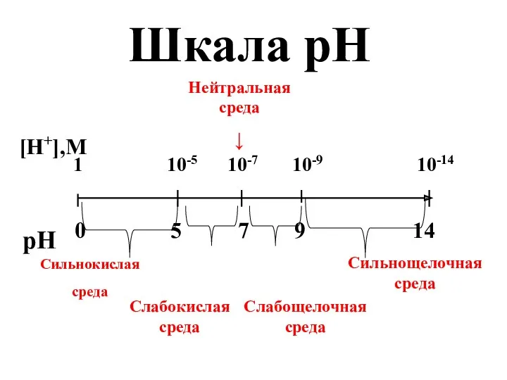 Шкала рН [Н+],M pH 1 10-5 10-7 10-9 10-14 0