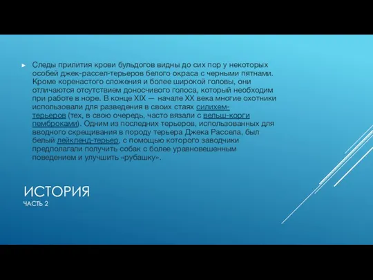 ИСТОРИЯ ЧАСТЬ 2 Следы прилития крови бульдогов видны до сих