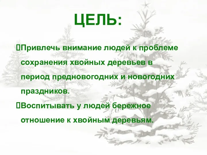 Привлечь внимание людей к проблеме сохранения хвойных деревьев в период