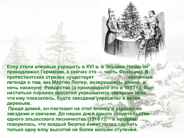 Елку стали впервые украшать в XVI в. в Эльзасе (тогда