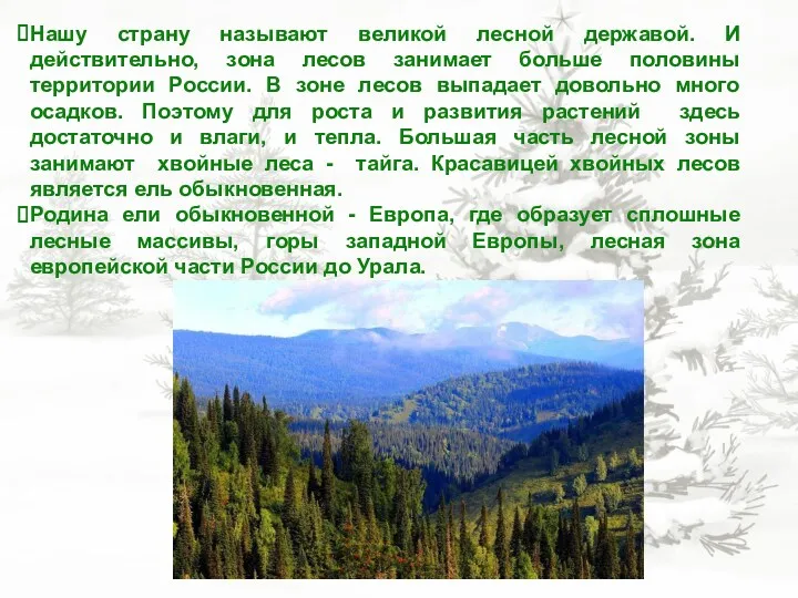 Нашу страну называют великой лесной державой. И действительно, зона лесов