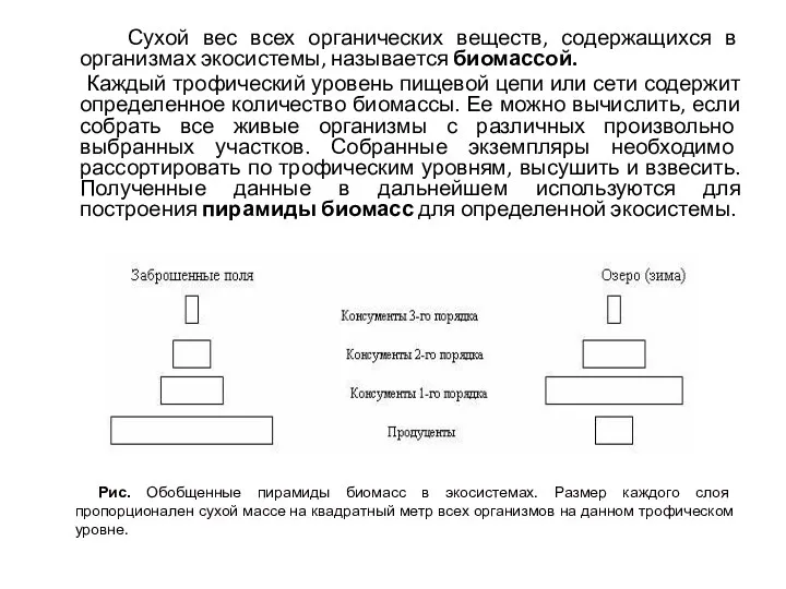 Сухой вес всех органических веществ, содержащихся в организмах экосистемы, называется