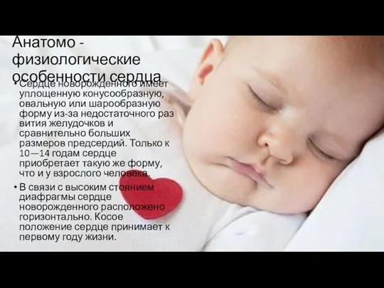 Анатомо - физиологические особенности сердца Сердце новорожденного имеет уплощенную конусообразную, овальную или шарообразную