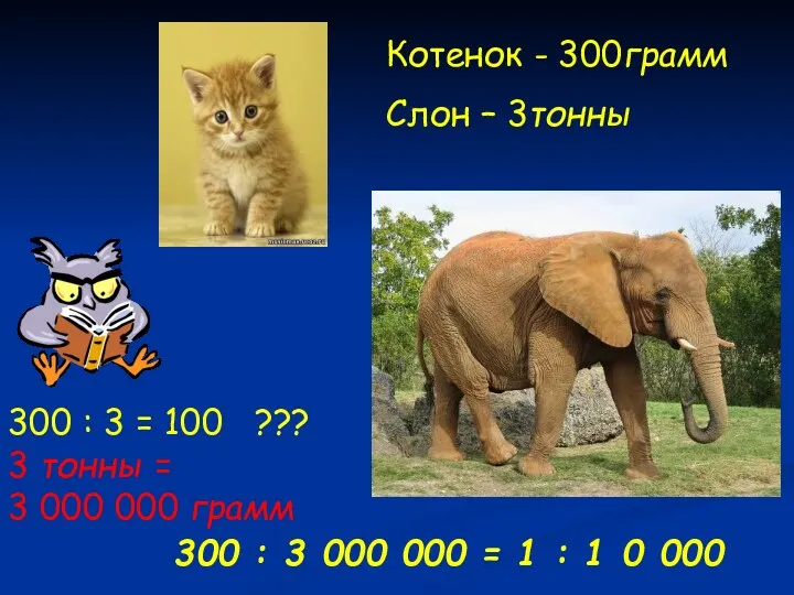 Котенок - 300грамм Слон – 3тонны 300 : 3 =