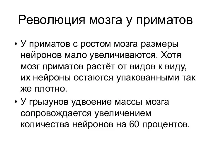 Революция мозга у приматов У приматов с ростом мозга размеры