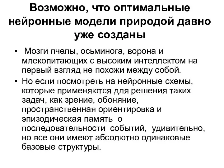 Возможно, что оптимальные нейронные модели природой давно уже созданы Мозги