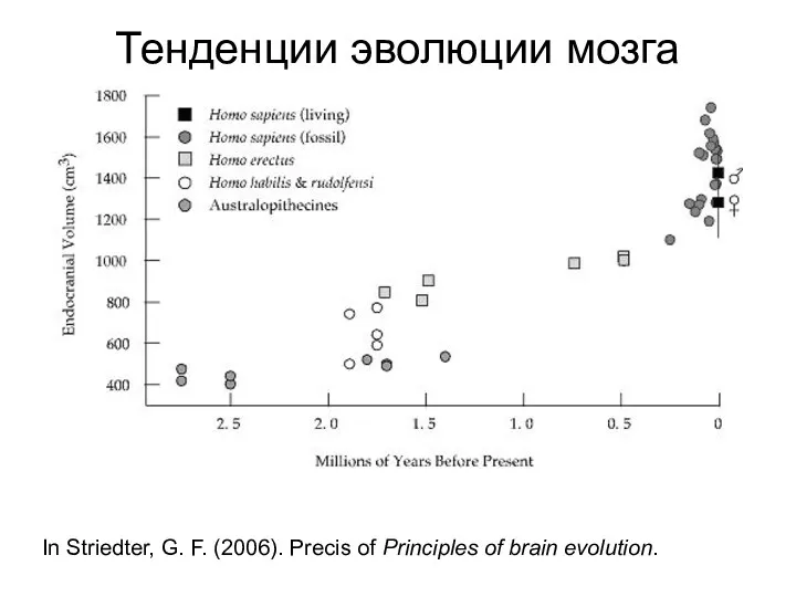 Тенденции эволюции мозга человека In Striedter, G. F. (2006). Precis of Principles of brain evolution.