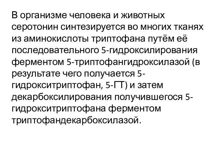 В организме человека и животных серотонин синтезируется во многих тканях