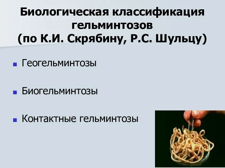 Биологическая классификация гельминтозов (по К.И. Скрябину, Р.С. Шульцу) Геогельминтозы Биогельминтозы Контактные гельминтозы