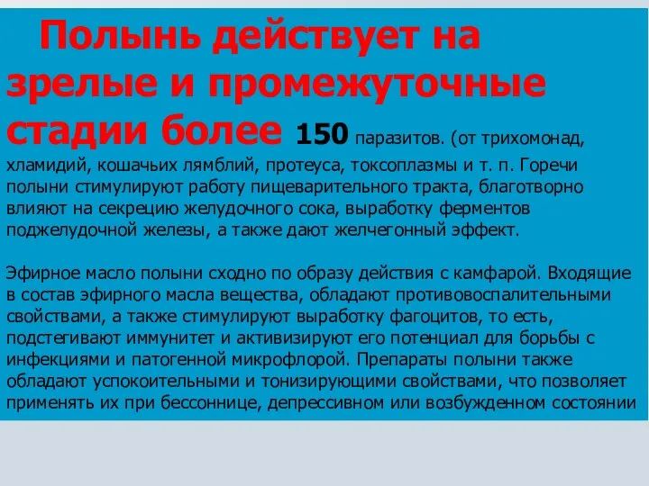 Полынь действует на зрелые и промежуточные стадии более 150 паразитов.