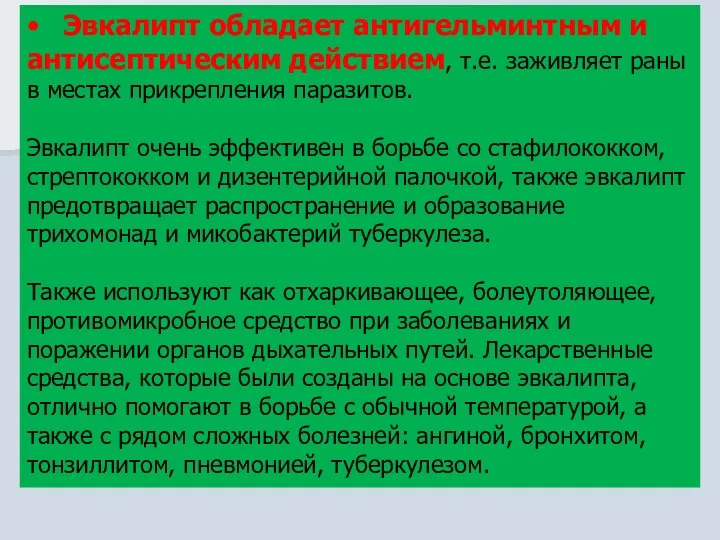 • Эвкалипт обладает антигельминтным и антисептическим действием, т.е. заживляет раны