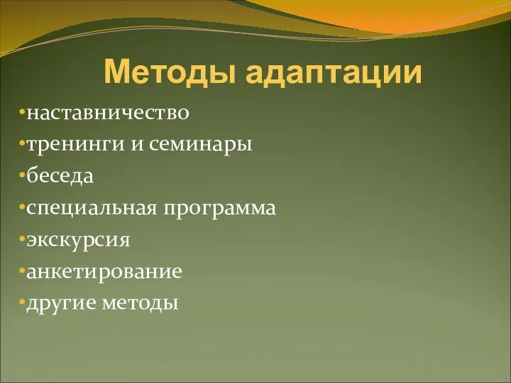 Методы адаптации наставничество тренинги и семинары беседа специальная программа экскурсия анкетирование другие методы