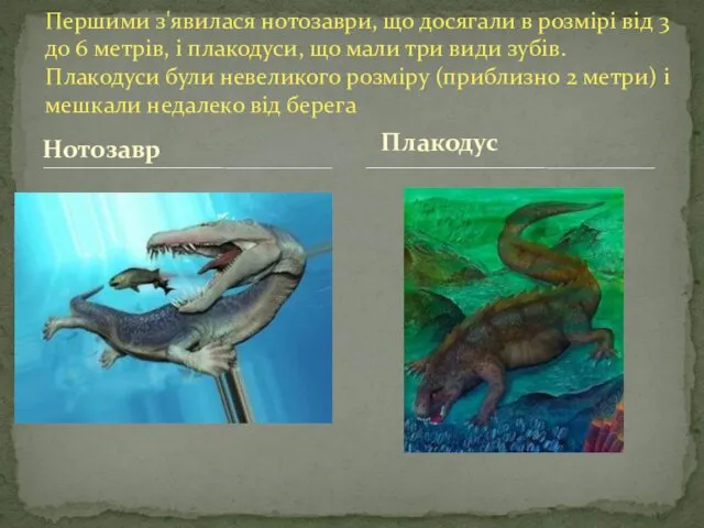 Нотозавр Першими з'явилася нотозаври, що досягали в розмірі від 3