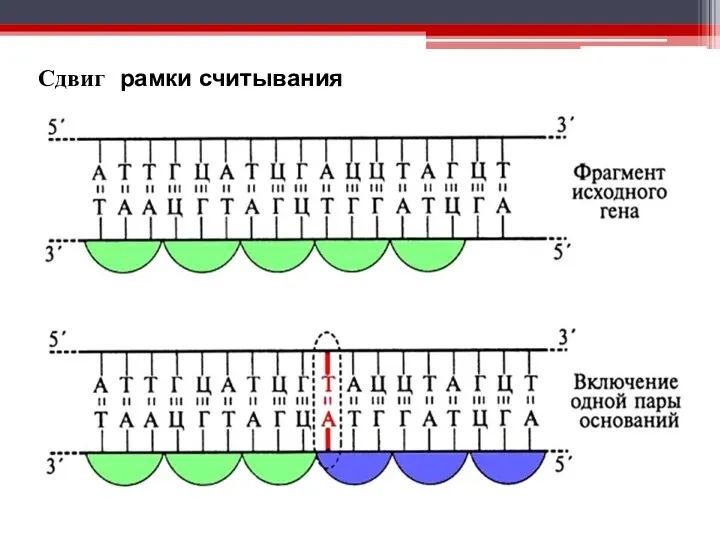 Сдвиг рамки считывания