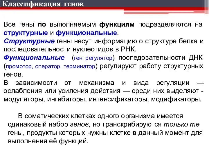 Классификация генов Все гены по выполняемым функциям подразделяются на структурные