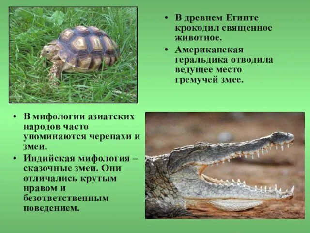 В мифологии азиатских народов часто упоминаются черепахи и змеи. Индийская мифология – сказочные