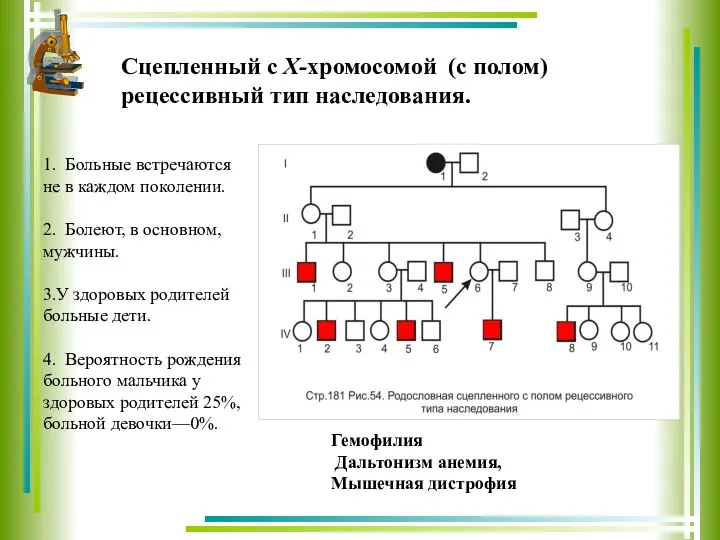 Сцепленный с Х-хромосомой (с полом) рецессивный тип наследования. 1. Больные