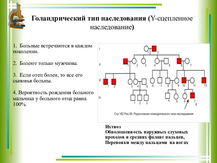 Голандрический тип наследования (Y-сцепленное наследование) 1. Больные встречаются в каждом