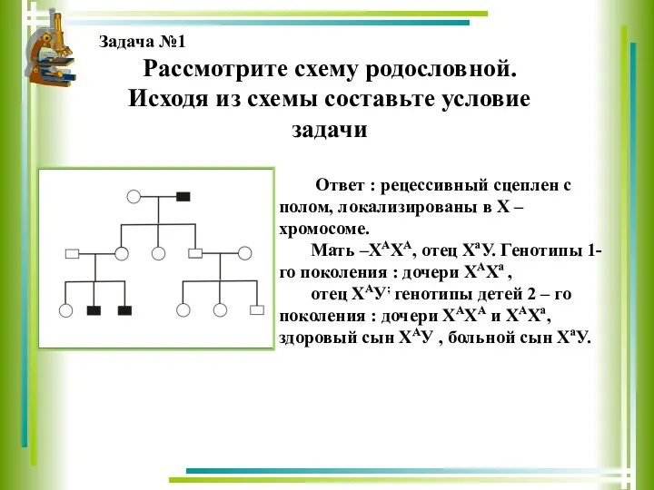 Задача №1 Рассмотрите схему родословной. Исходя из схемы составьте условие