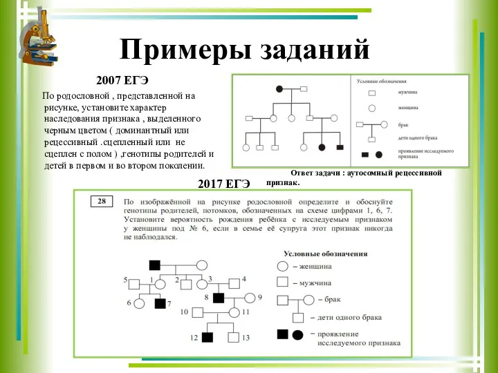 Примеры заданий 2007 ЕГЭ По родословной , представленной на рисунке,