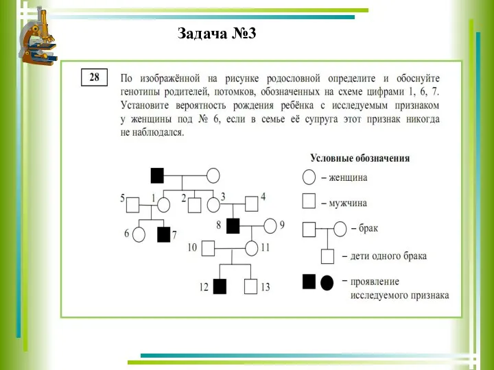 Задача №3