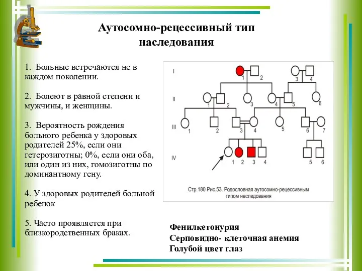 Аутосомно-рецессивный тип наследования 1. Больные встречаются не в каждом поколении.