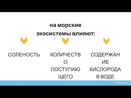 на морские экосистемы влияют: