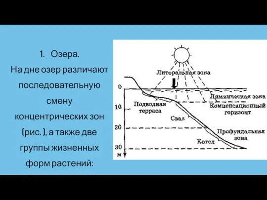 1. Озера. На дне озер различают последовательную смену концентрических зон