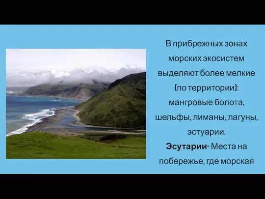 В прибрежных зонах морских экосистем выделяют более мелкие (по территории):