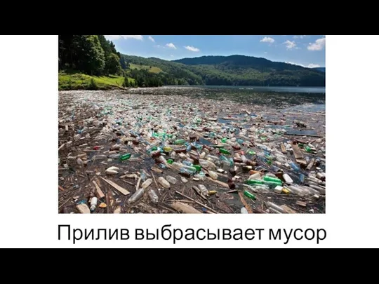 Прилив выбрасывает мусор на берег