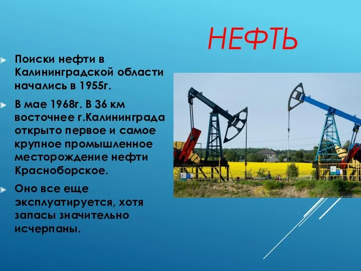 НЕФТЬ Поиски нефти в Калининградской области начались в 1955г. В