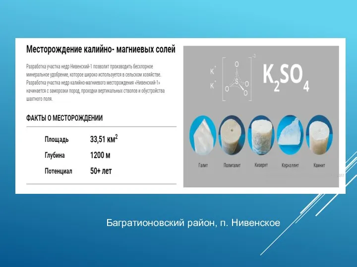 Багратионовский район, п. Нивенское