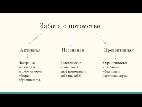 Забота о потомстве Активная Пассивная Превентивная Постройка убежища и заготовка