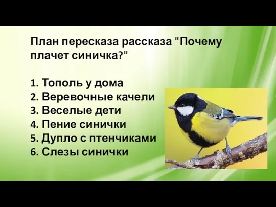 План пересказа рассказа "Почему плачет синичка?" 1. Тополь у дома