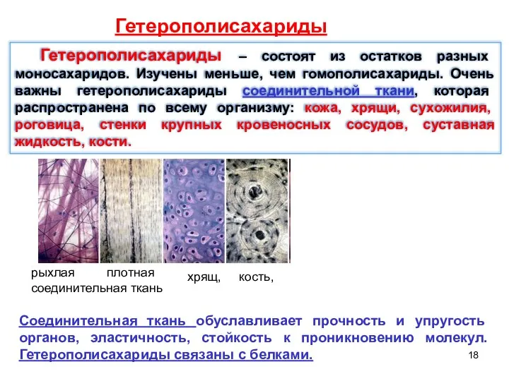 Гетерополисахариды Гетерополисахариды – состоят из остатков разных моносахаридов. Изучены меньше,