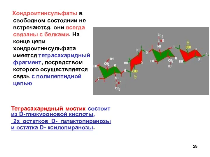 Хондроитинсульфаты в свободном состоянии не встречаются, они всегда связаны с