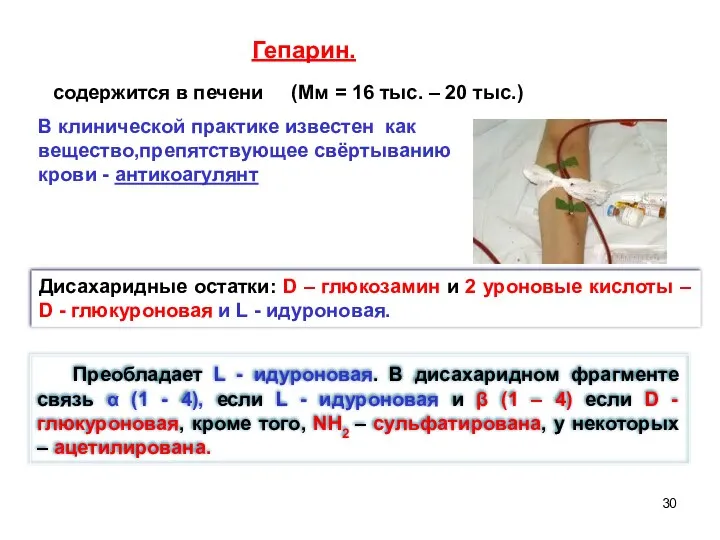 Дисахаридные остатки: D – глюкозамин и 2 уроновые кислоты –