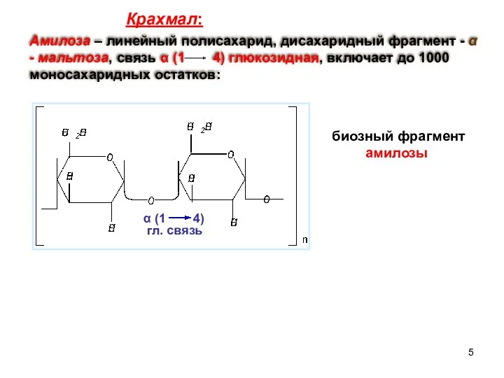 Амилоза – линейный полисахарид, дисахаридный фрагмент - α - мальтоза,