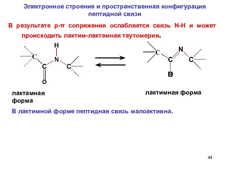 лактамная форма лактимная форма Электронное строение и пространственная конфигурация пептидной