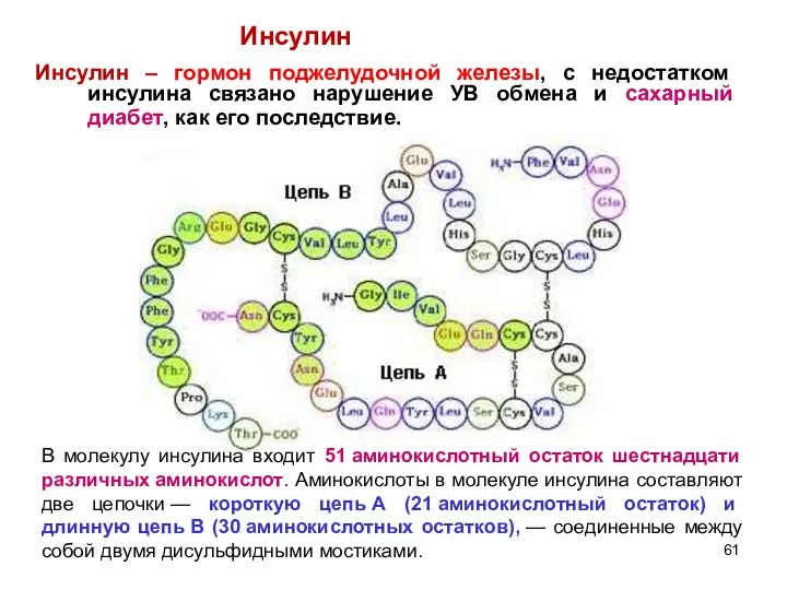 Инсулин – гормон поджелудочной железы, с недостатком инсулина связано нарушение